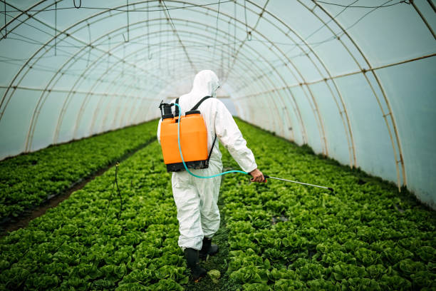 Professional Pest Control in Warwick, RI