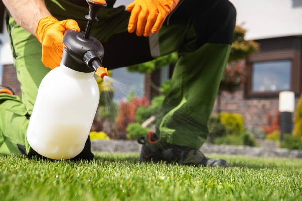 Best Affordable Pest Control Services  in Warwick, RI