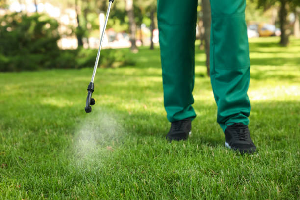 Best Wasp Removal Services  in Warwick, RI