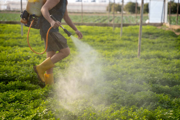 Best Ant Control Services  in Warwick, RI