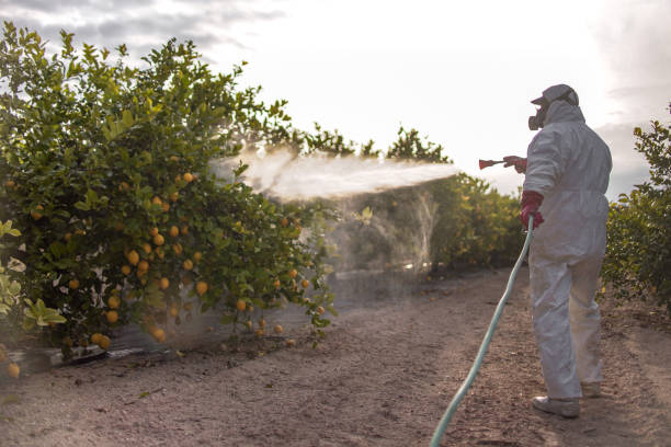 Best Pest Prevention Services  in Warwick, RI