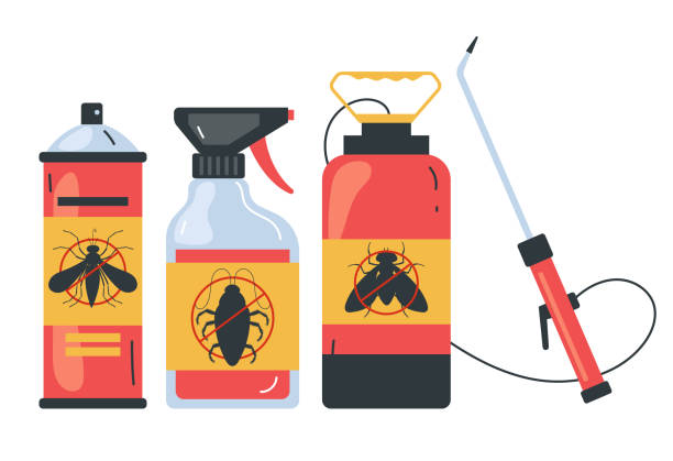 Flea Control Services in Warwick, RI