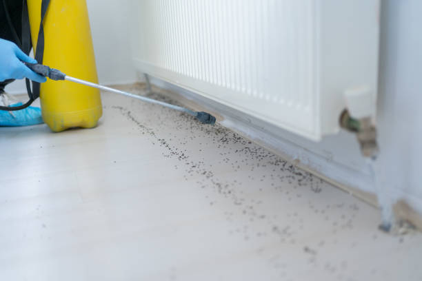 Best Best Pest Control Near Me  in Warwick, RI