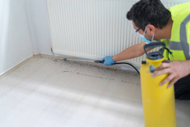 Best Exterminator Services  in Warwick, RI