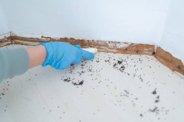 Best Residential Pest Control  in Warwick, RI