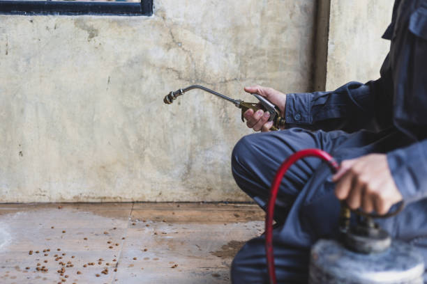 Best Best Pest Control Companies  in Warwick, RI
